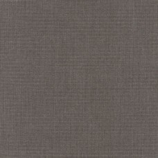 5489 Canvas Coal
